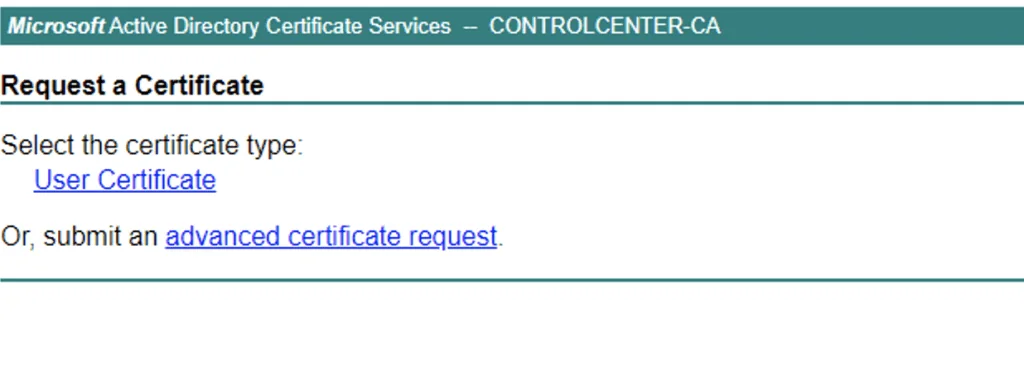 Request a certificate for vRSLCM 8 using User Certificate or advanced request.