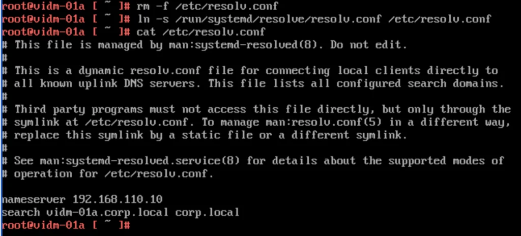 The image shows terminal commands for updating DNS configuration on a Linux system.