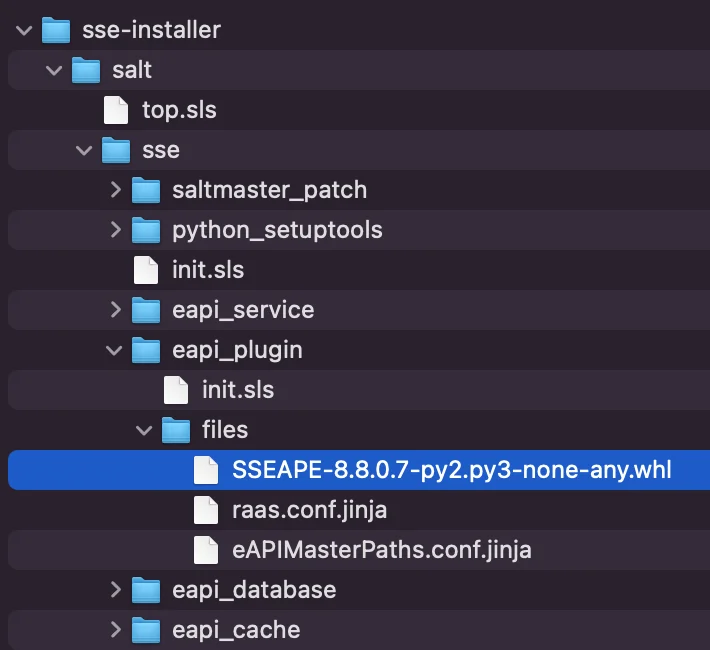 The image shows a file structure for a Salt installation with a specific Python package file highlighted.