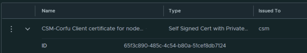 The image shows a table with columns for Name, Type, and Issued To, displaying a self-signed certificate for a node.