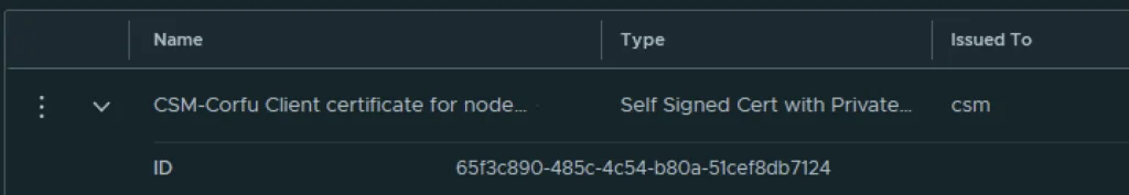 The image shows a table with columns for Name, Type, and Issued To, displaying a self-signed certificate for a node.