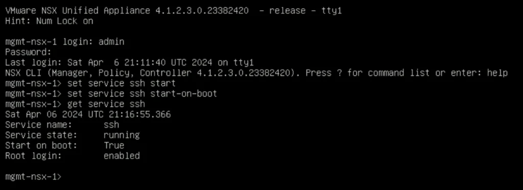 The image shows the NSX CLI interface where SSH service status is checked and configured to start on boot.