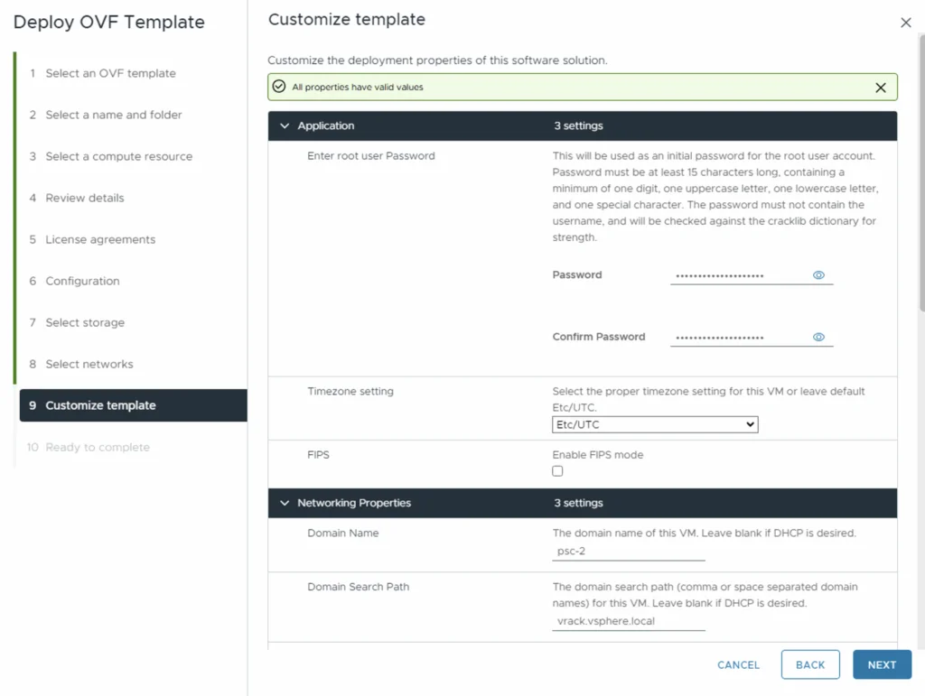 Customize template step shows network settings, domain name, and search path. Click Next to proceed.