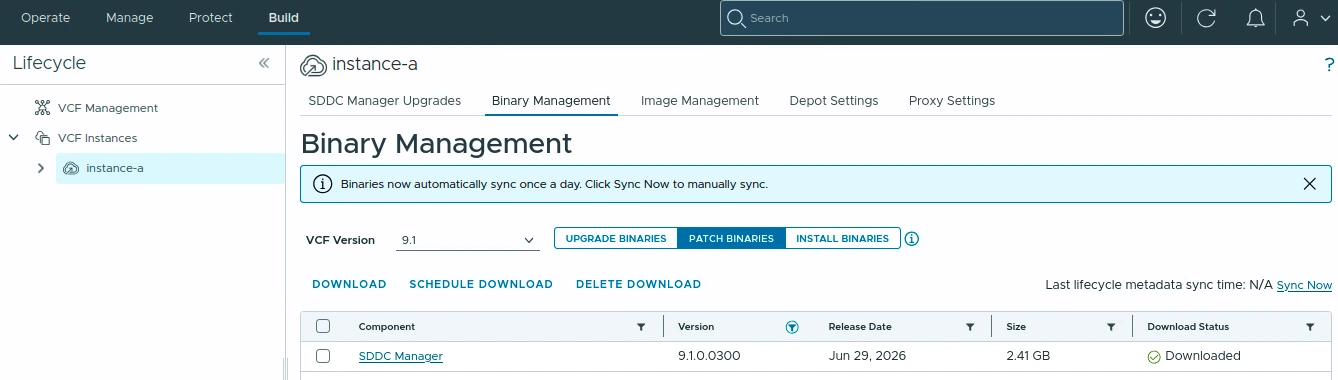 Binary Management page showing SDDC Manager 9.1.0.0300 patch binary downloaded.