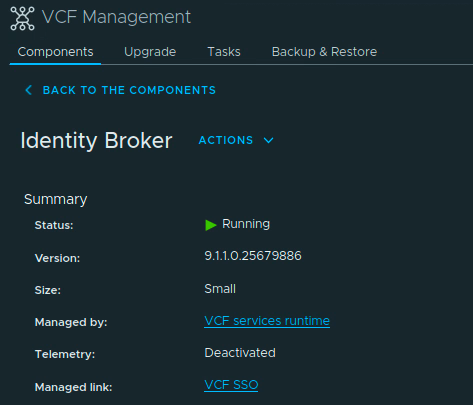 Identity Broker component summary showing Running status, version 9.1.1.0.25679886, Small size, and VCF services runtime management.