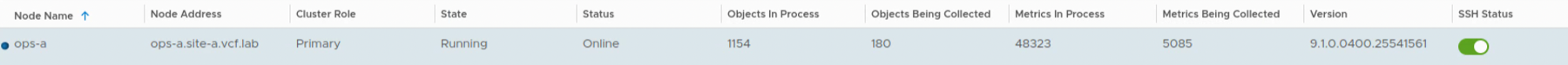 VCF Operations primary node running online on version 9.1.0.0400.25541561 before the upgrade.
