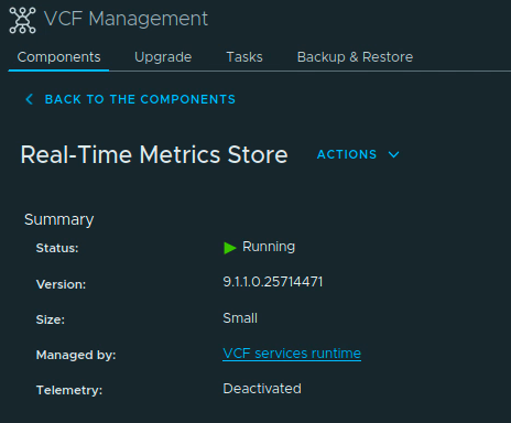 Real-Time Metrics Store component summary showing Running status and version 9.1.1.0.25714471.