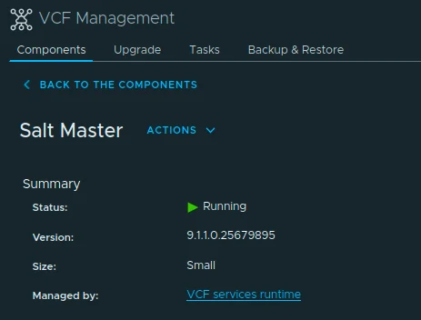 Salt Master component summary showing Running status, version 9.1.1.0.25679895, Small size, and VCF services runtime management.